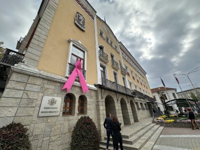 Розова панделка